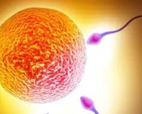 去香港验血查胎儿性别真假_香港验血时间10周可以_去香港抽血测男女可不可靠