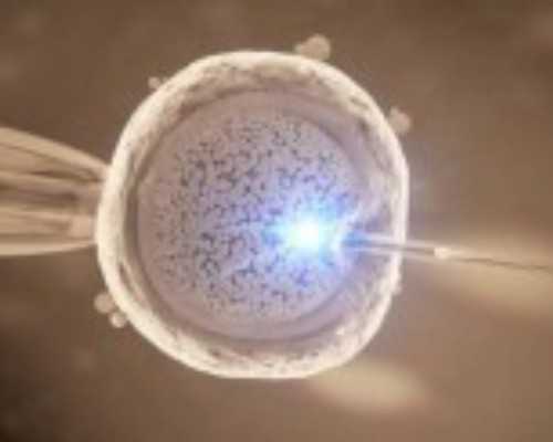 香港哪个验血机构最好_2020香港验血是验什么?真实经验分享给你