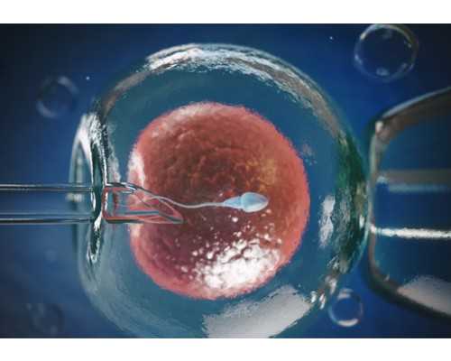 香港验血 中介坑人_怀孕香港抽血准确吗？让亲历者用事实来讲述真相