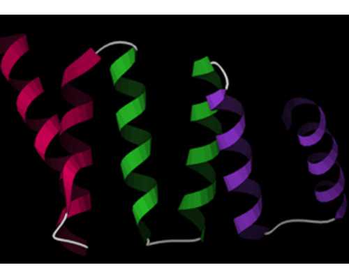 香港6周验血的费用是否和7周一样_闻名的性别判定部分正规资质