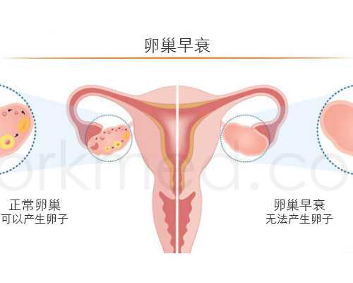 现在去香港验血查男女多少钱_陈立志香港验血_dna胎儿性别哪个机构最好