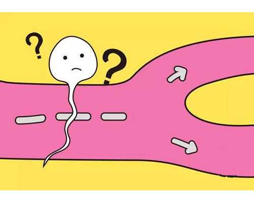 香港孕7周验血做唐筛准吗_香港男女验血翻盘_验血查男女多久能出结果!