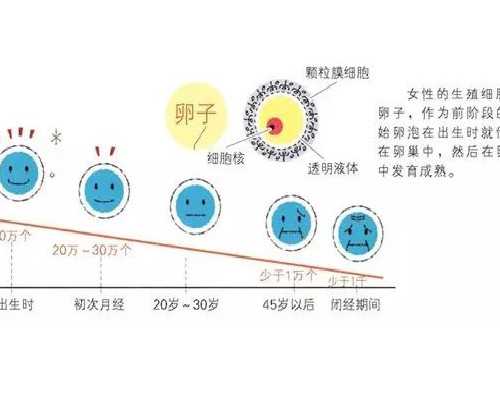 香港验血自己去还是邮_香港验血测胎儿性别多少钱_有Y男孩会翻盘吗