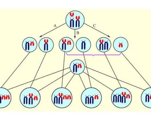 香港正规验血测性别的机构_香港嘉宝大厦验血_测胎儿性别机构哪家好!