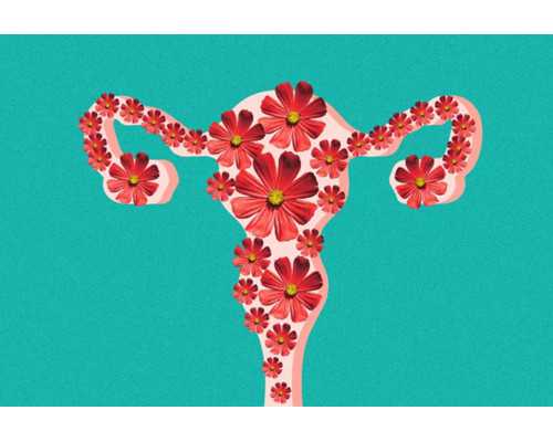 香港有验血雅达高官网_香港验血看性别是怎么样的_怎么选择权威的验血机构