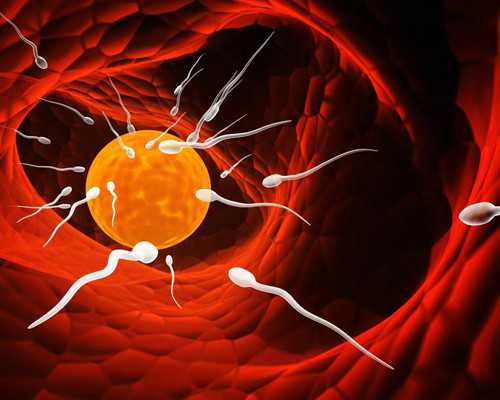 孕7周香港验血报告单_孕妇去香港验血查性别准吗?该怎么验？我来告诉你！