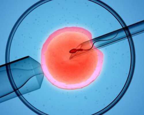 古玩市场价格表_艺术品市场：寒冬过去见暖阳