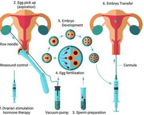香港7周验血女孩生了男孩_香港验血查宝宝性别准不准,鉴定性别是骗局吗