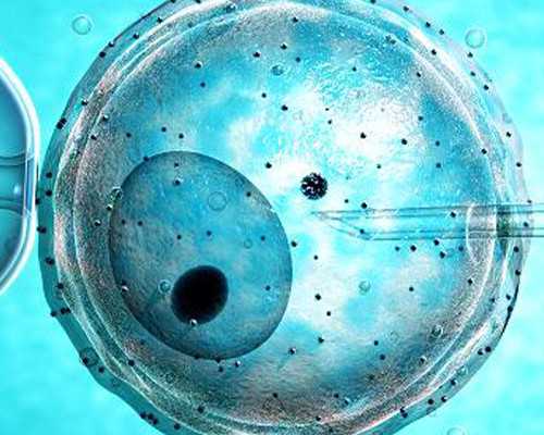 古玩店能买到真品古董吗_【雅昌快讯】亚洲蘇富比2016上半年度拍卖总成交36亿