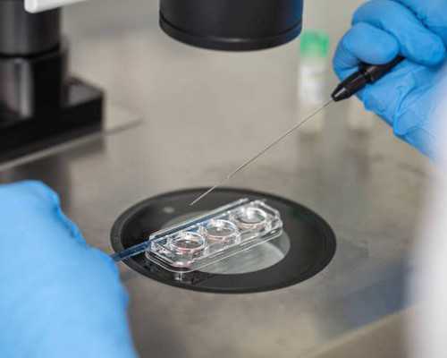 古玩拍卖公司骗局_瘦人健身增重要有坚强的意志