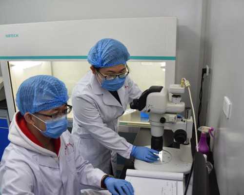 古玩人生机锋免费阅读_书法批评的忌讳与作为