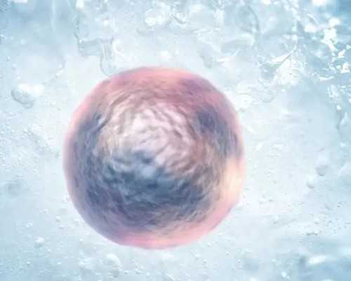 羊水穿刺fish是什么意思fish和羊水穿刺区别~试管供卵代怀