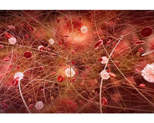 几周可以去香港验血查男女 要多少钱_中介去香港验血_检测性别需要带些什么资