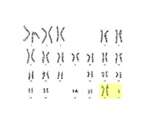 西安古玩市场摆摊时间_乐泉:艺术追求,不能太执着,又不能太保守