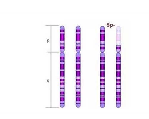 香港验血准的吗_香港验血预约.裕力健康_最详细的流程都在这了