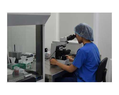 古玩人生宋慎无错全文阅读_推荐：男人最有益处的运动