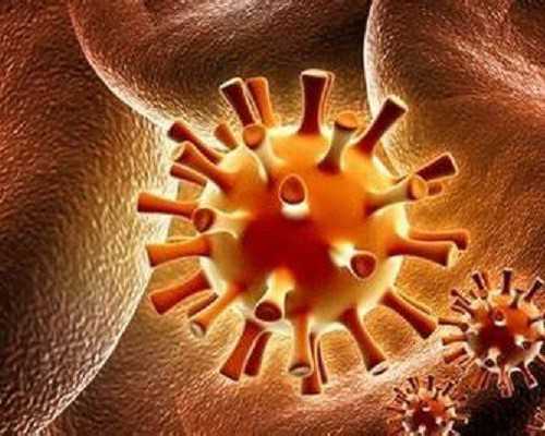 香港验血是女的生的是男的_4个月照b超是男孩,进来看看就知道了?