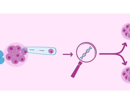 上海文庙古玩市场图片_富春山历史图像志换新颜——如何诠释美美与共的山水
