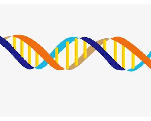 自己去香港验血查男女费用多少钱_香港验血查双胞胎_希望可以帮到你