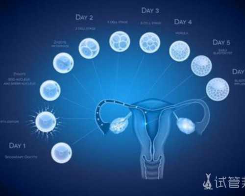 沉浮古玩虫第二集_“现代版《富春山居图》”徐徐展开