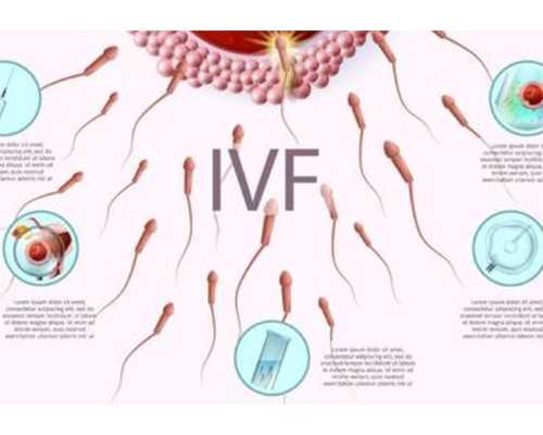 去香港验血鉴定胎儿性别费用多少钱_生女儿的优点是什么