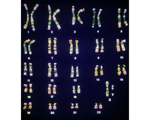 香港验血寄来的样品打开了_香港时代化验所周六上班吗,准不准知道的来说说