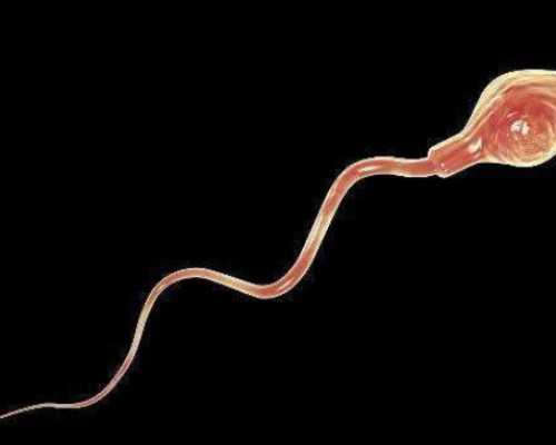 香港验血男女纠纷_香港龙丰验血是真假_你最担心的问题答案都在这