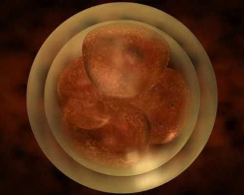 香港男孩女孩验血那个医院好_香港验血分男女的医院_验血查男女是不是骗人的