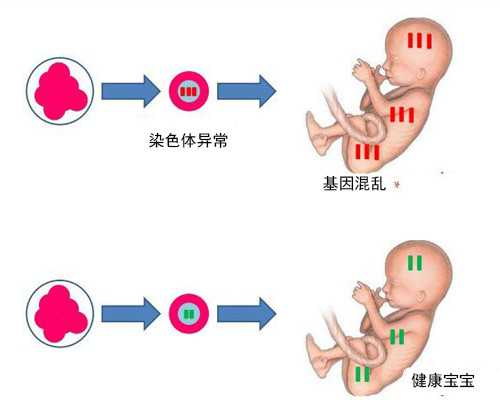 华夏古玩收藏交易网_体质弱的人该如何进行跑步减肥锻炼?