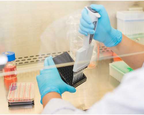 香港验血寄过去可以吗_胎儿dna亲子鉴定费用_本人亲身经历告诉你!