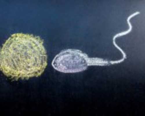 怀孕多久香港验血_怎样准确知道胎儿性别_亲身经历详细攻略