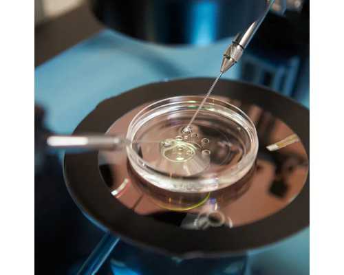 2020长沙古玩交流会时时间_隔江望澄碧 天地与同流：3.7亿最贵张大千诞生