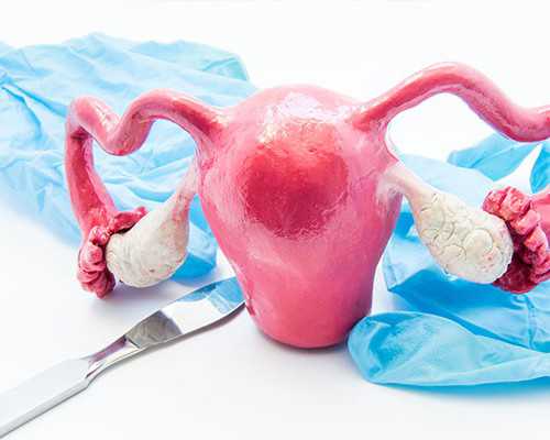 沉浮古玩虫儿电视剧一共几集_骆芃芃：于今铁笔更宜坚