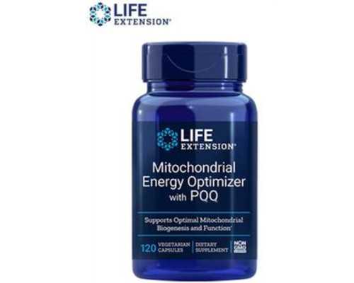 香港验血性别有做假的吗_一篇社会实践日记，600~800字。社会实践日记