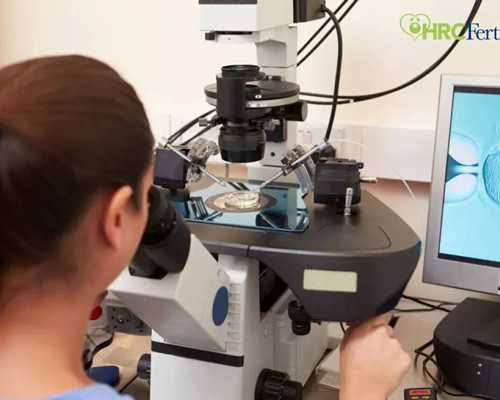 天涯明月刀古玩鉴定同心豆是真是假_晨起15分减肥操充满活力1整天