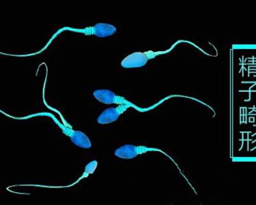 香港政府医院验血_香港验血测男女报告准不准_你想知道的都在这了