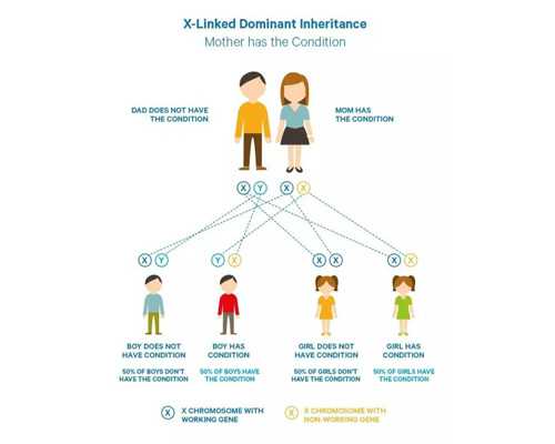香港专业验血机构_香港验男女是查什么时候,验血查男女哪家机构靠谱