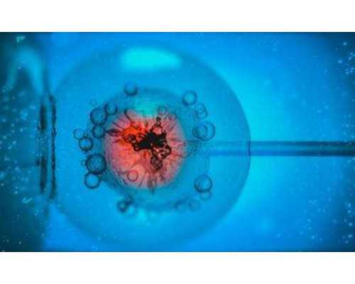 高龄做试管为什么成功率低？四个关键因素~找人代怀孩子