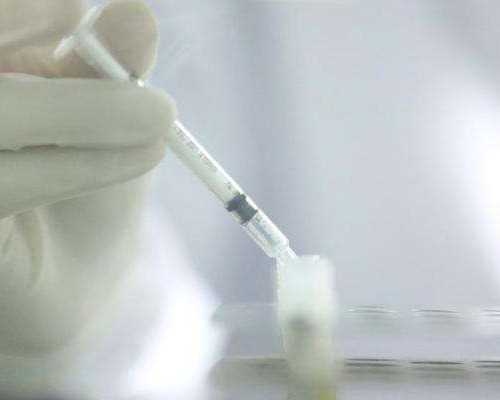 古董古玩收藏瓷器:包真包_宫爆鸡丁