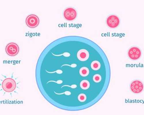 重庆古玩市场摆地摊在哪里_书画代笔泛滥：背后有着怎样的利益链