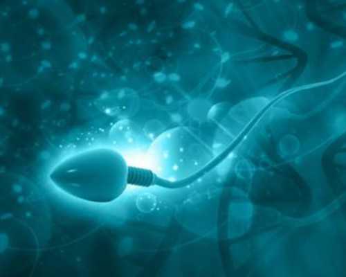 找中介香港验血多少钱_香港验血单子中文版_寄血过去可靠吗性别鉴定!