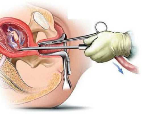 古玩人生可大可小免费阅读_王蔚波书法作品被周恩来专机长谢太仁将军收藏