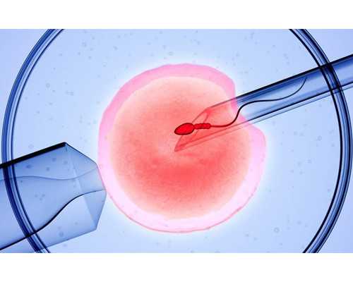 香港验血男女当天知道_SNL三分钟的妹妹，我就想问，有能干的妹妹吗1.黄岛区哪