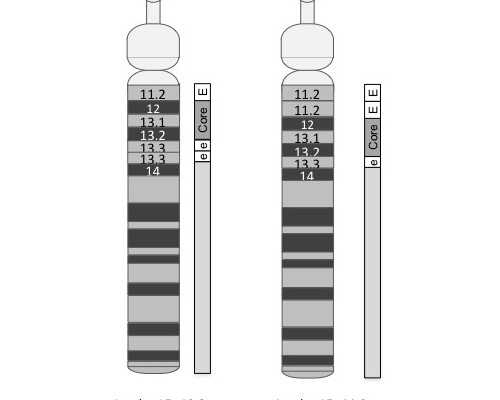 香港申请验血价格_孕妈香港验血是违法的吗_验血男孩竟然翻盘最详细攻略!