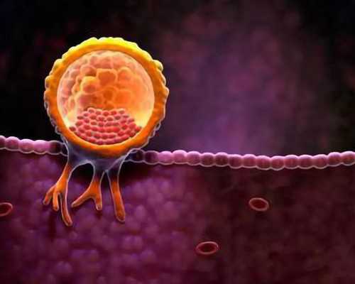 泰国单身试管婴儿:合法渠道与服务指南