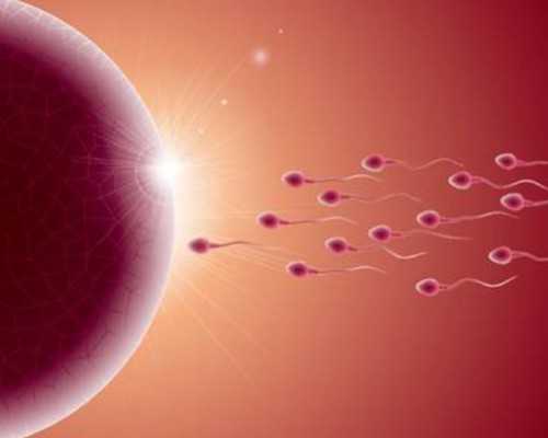 香港正规验血有不准的吗_去香港抽血测男女要多少钱?我的亲身经历告诉你