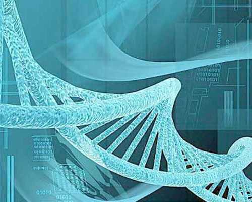 怀孕香港验血哪家好_香港尹镇伟验血上11个y准不准,没想到这么火最全攻略全在