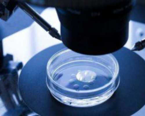 香港验血准不,试管是单胎移植好还是双胎移植好?单胎移植常见问题