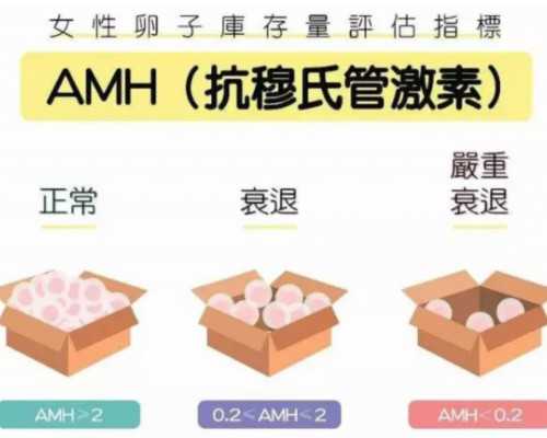 香港验血男孩四维彩超女孩,梦美孕育：大龄女性生育凸显美国试管婴儿优势