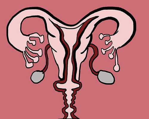 武汉古玩市场一览表,射手座是火象星座吗